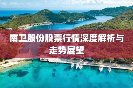 南卫股份股票行情深度解析与走势展望