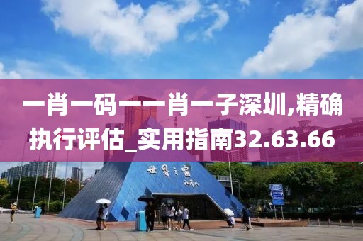 一肖一码一一肖一子深圳,精确执行评估_实用指南32.63.66