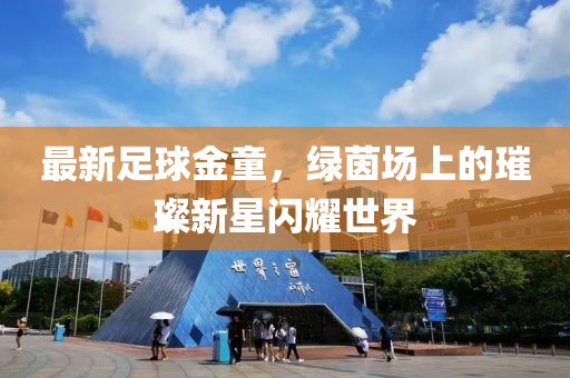最新足球金童，绿茵场上的璀璨新星闪耀世界
