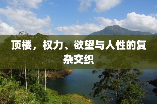 顶楼，权力、欲望与人性的复杂交织