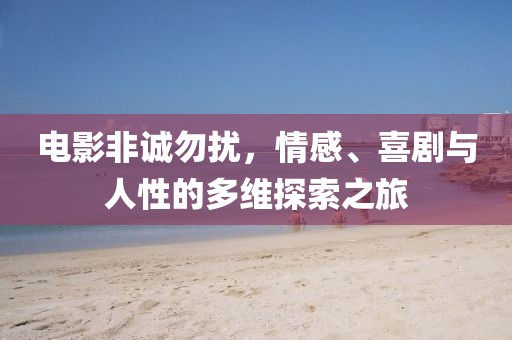 电影非诚勿扰，情感、喜剧与人性的多维探索之旅