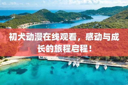 初犬动漫在线观看，感动与成长的旅程启程！