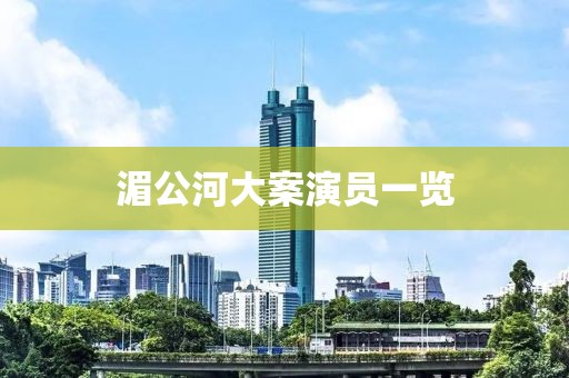 湄公河大案演员一览