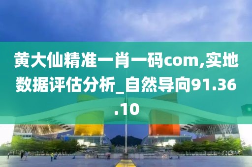 黄大仙精准一肖一码com,实地数据评估分析_自然导向91.36.10