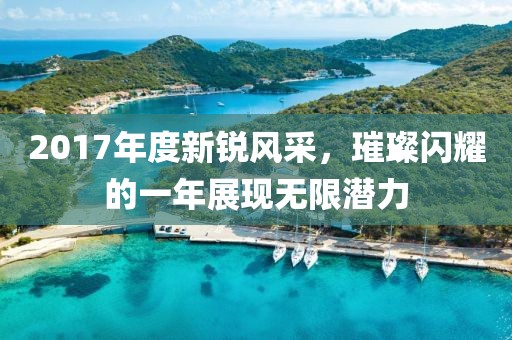 2017年度新锐风采，璀璨闪耀的一年展现无限潜力