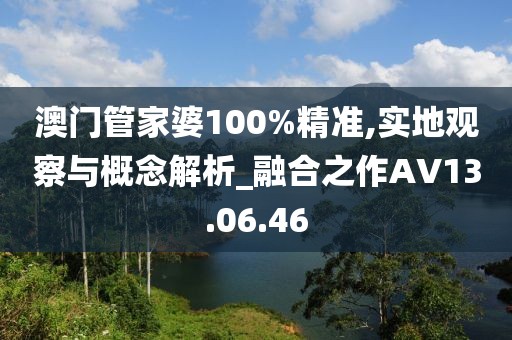 澳门管家婆100%精准,实地观察与概念解析_融合之作AV13.06.46