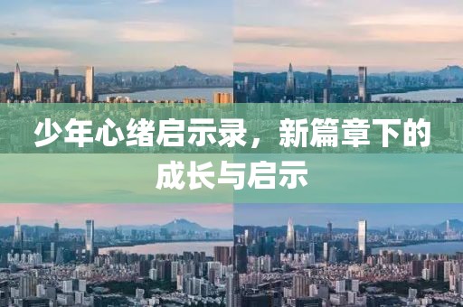 少年心绪启示录，新篇章下的成长与启示