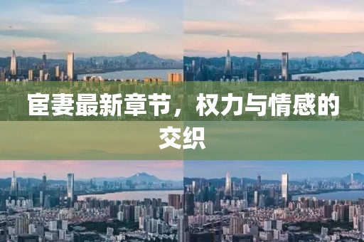 宦妻最新章节，权力与情感的交织