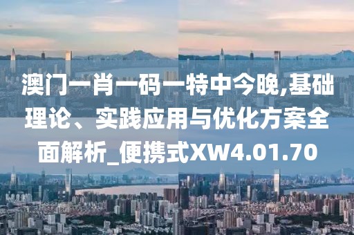 澳门一肖一码一特中今晚,基础理论、实践应用与优化方案全面解析_便携式XW4.01.70