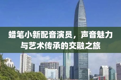 蜡笔小新配音演员，声音魅力与艺术传承的交融之旅