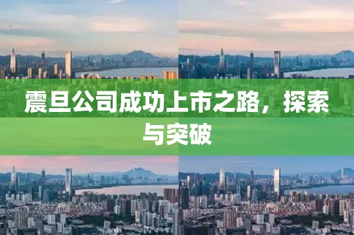 震旦公司成功上市之路，探索与突破