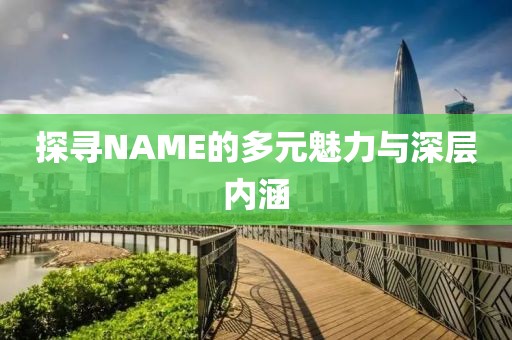 探寻NAME的多元魅力与深层内涵