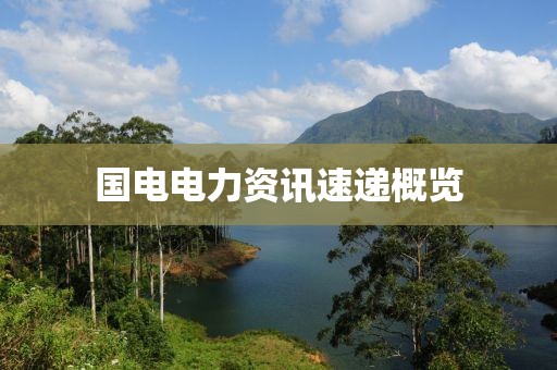 国电电力资讯速递概览
