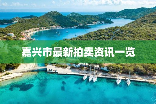 嘉兴市最新拍卖资讯一览