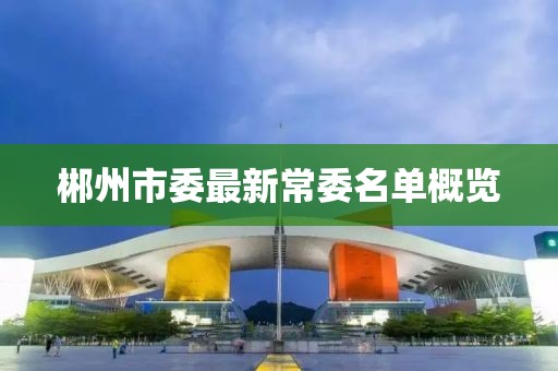 郴州市委最新常委名单概览