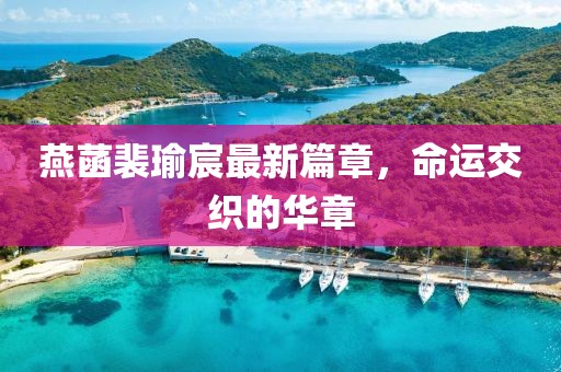 燕菡裴瑜宸最新篇章，命运交织的华章