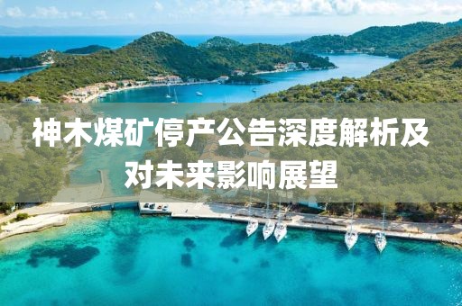 神木煤矿停产公告深度解析及对未来影响展望
