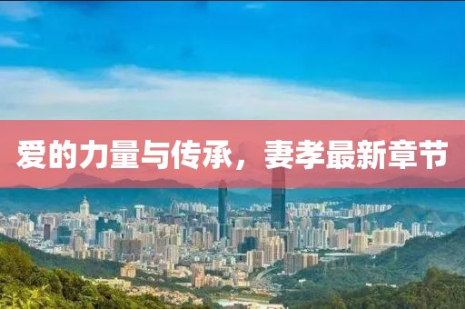 爱的力量与传承，妻孝最新章节