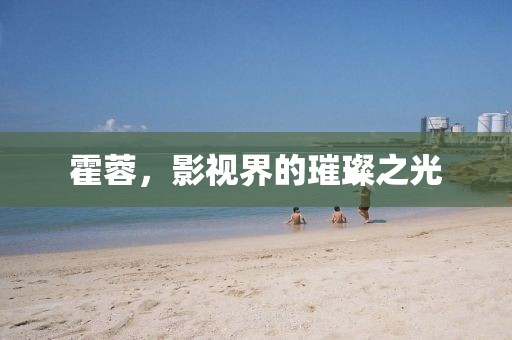 霍蓉，影视界的璀璨之光