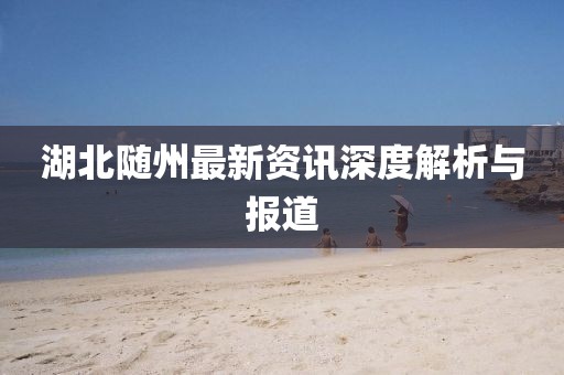 湖北随州最新资讯深度解析与报道