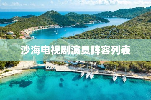 沙海电视剧演员阵容列表