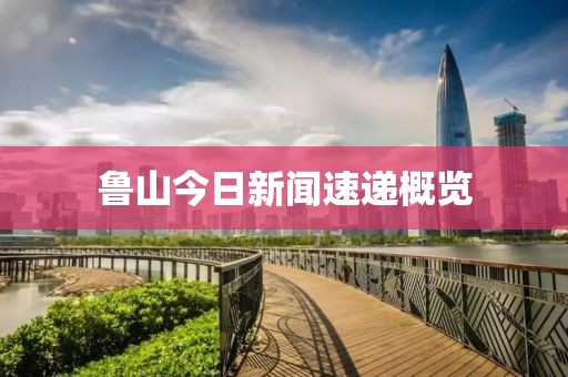 鲁山今日新闻速递概览