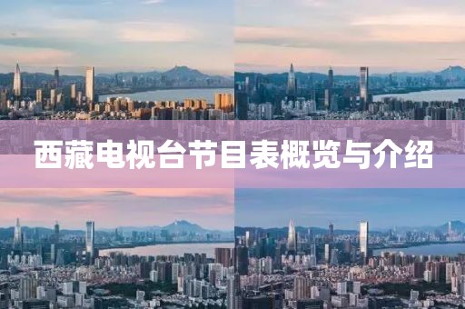 西藏电视台节目表概览与介绍