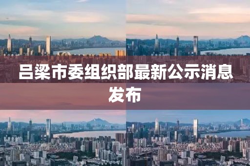 吕梁市委组织部最新公示消息发布