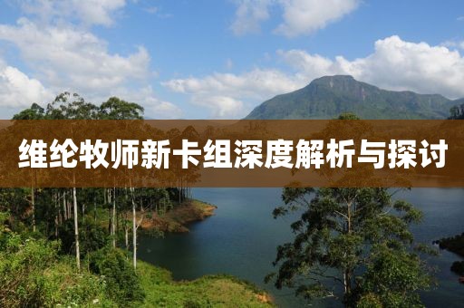 维纶牧师新卡组深度解析与探讨