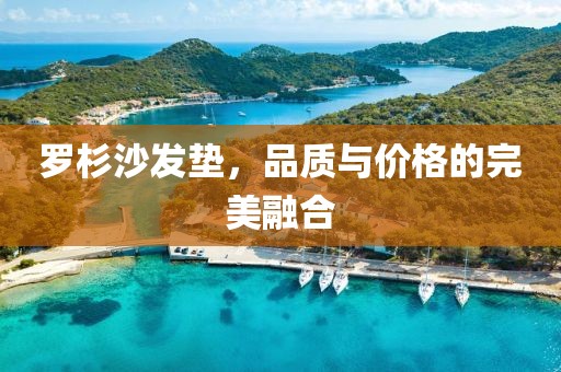 罗杉沙发垫，品质与价格的完美融合