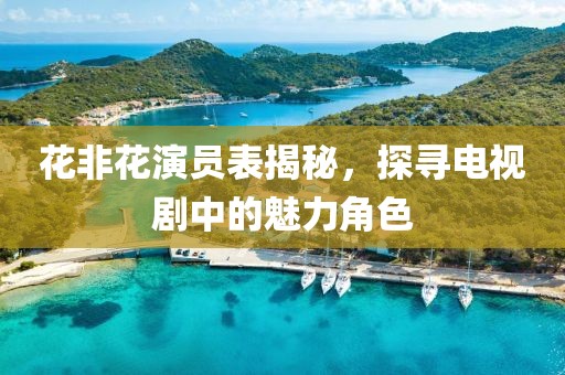 花非花演员表揭秘，探寻电视剧中的魅力角色