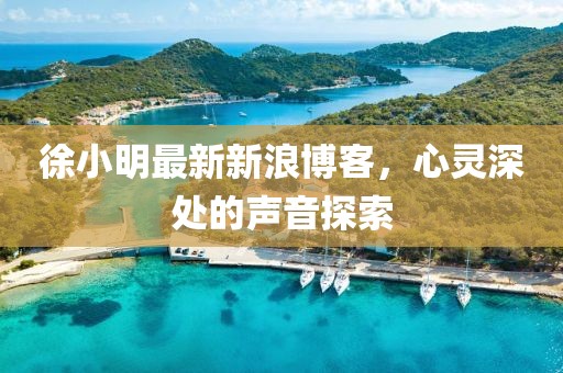 徐小明最新新浪博客，心灵深处的声音探索