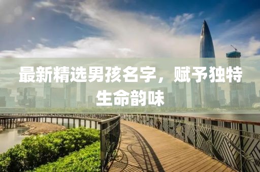 最新精选男孩名字，赋予独特生命韵味