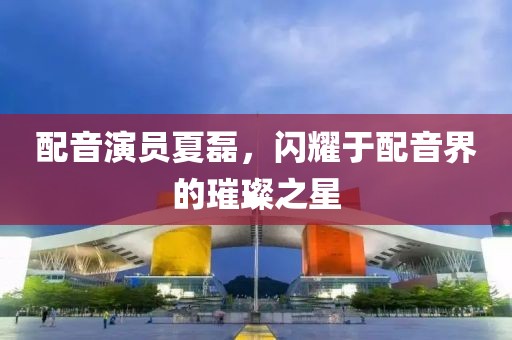 配音演员夏磊，闪耀于配音界的璀璨之星
