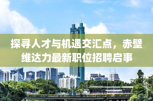 探寻人才与机遇交汇点，赤壁维达力最新职位招聘启事