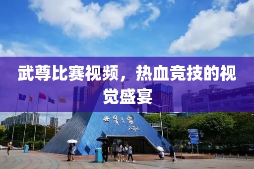 武尊比赛视频，热血竞技的视觉盛宴
