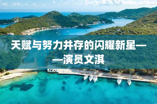 天赋与努力并存的闪耀新星——演员文淇