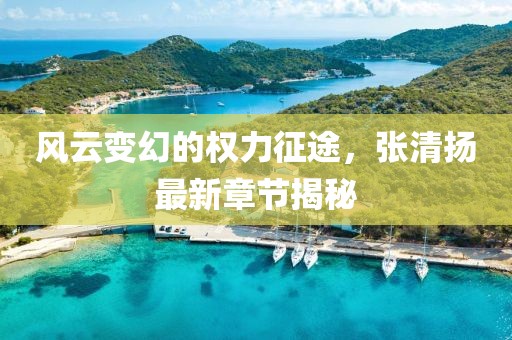 风云变幻的权力征途，张清扬最新章节揭秘