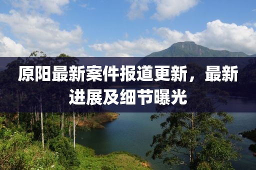 原阳最新案件报道更新，最新进展及细节曝光