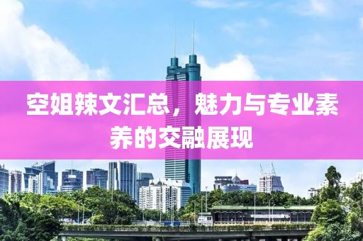 空姐辣文汇总，魅力与专业素养的交融展现
