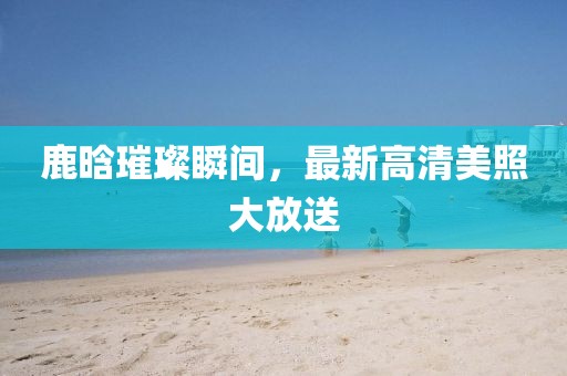 嘲笑我懦弱 第2页