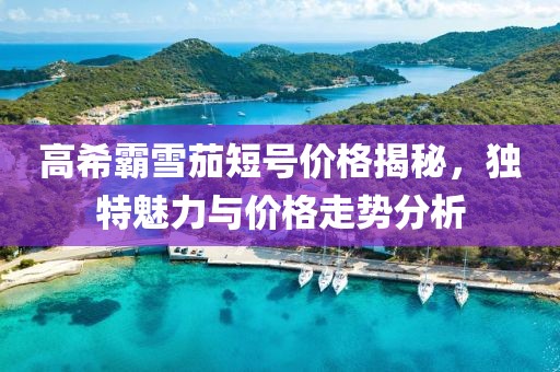 高希霸雪茄短号价格揭秘，独特魅力与价格走势分析