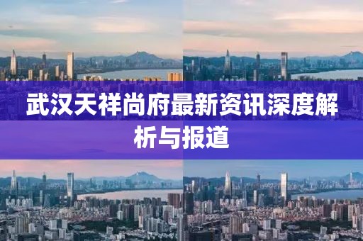 武汉天祥尚府最新资讯深度解析与报道