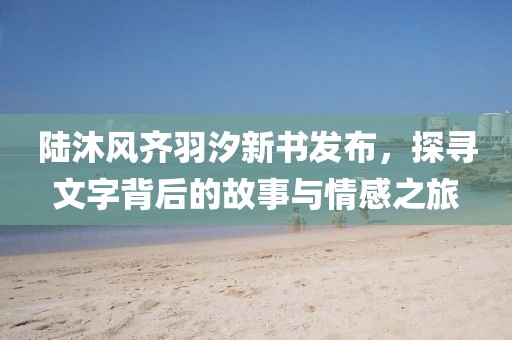 陆沐风齐羽汐新书发布，探寻文字背后的故事与情感之旅