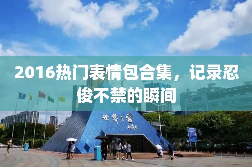 2016热门表情包合集，记录忍俊不禁的瞬间
