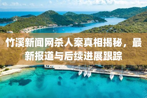 竹溪新闻网杀人案真相揭秘，最新报道与后续进展跟踪