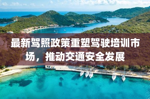最新驾照政策重塑驾驶培训市场，推动交通安全发展