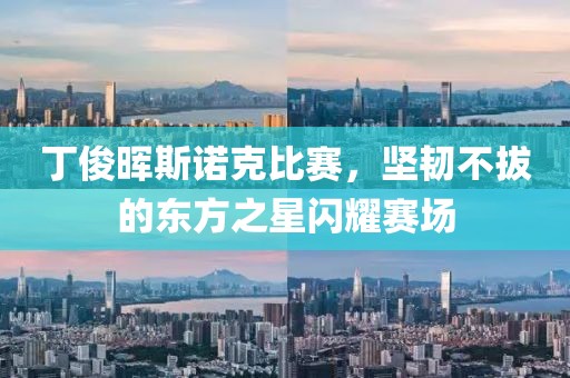 丁俊晖斯诺克比赛，坚韧不拔的东方之星闪耀赛场