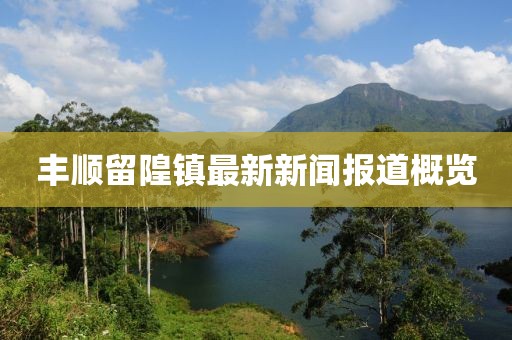 丰顺留隍镇最新新闻报道概览