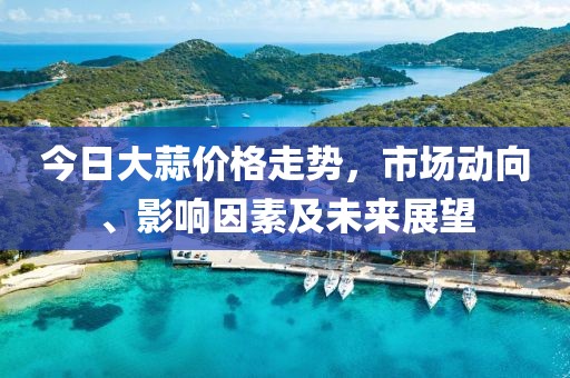 今日大蒜价格走势，市场动向、影响因素及未来展望